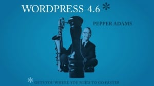 wordpress46